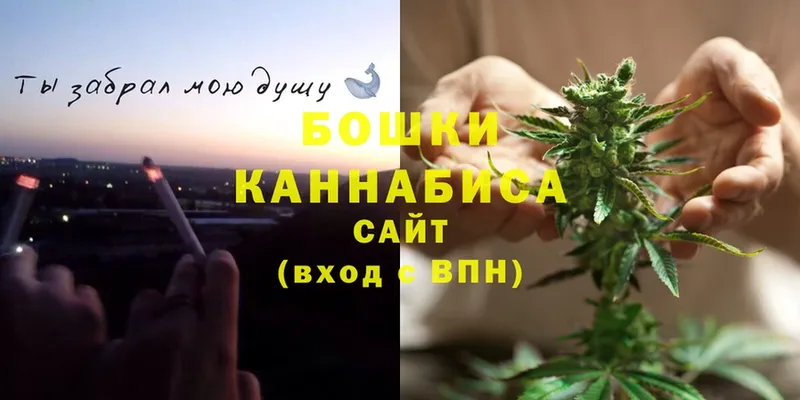 ссылка на мегу ТОР  Мурино  Каннабис THC 21%  цены  